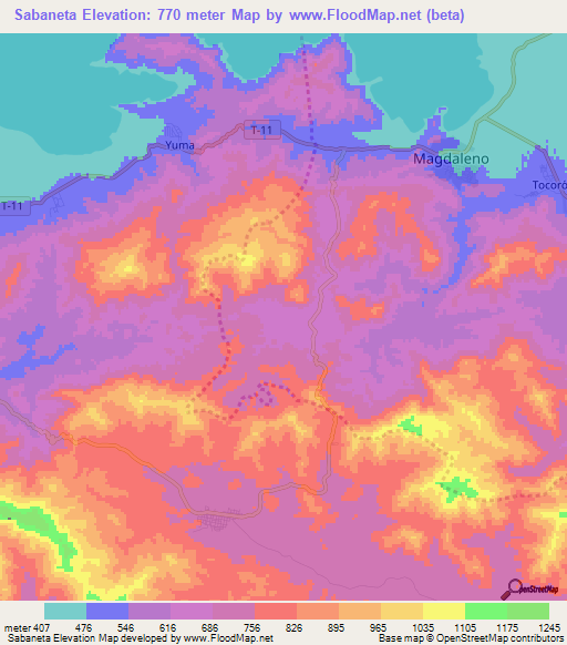 Sabaneta,Venezuela Elevation Map
