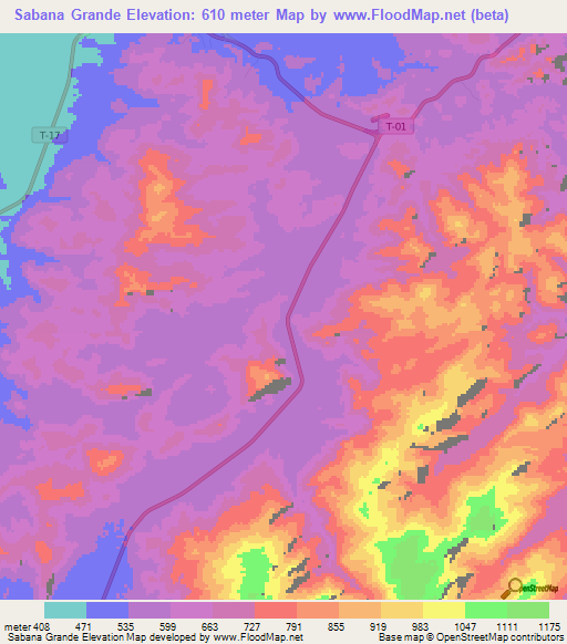 Sabana Grande,Venezuela Elevation Map