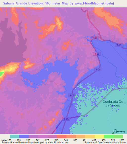 Sabana Grande,Venezuela Elevation Map