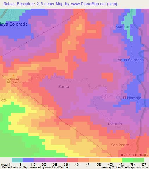 Raices,Venezuela Elevation Map