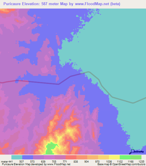 Puricaure,Venezuela Elevation Map