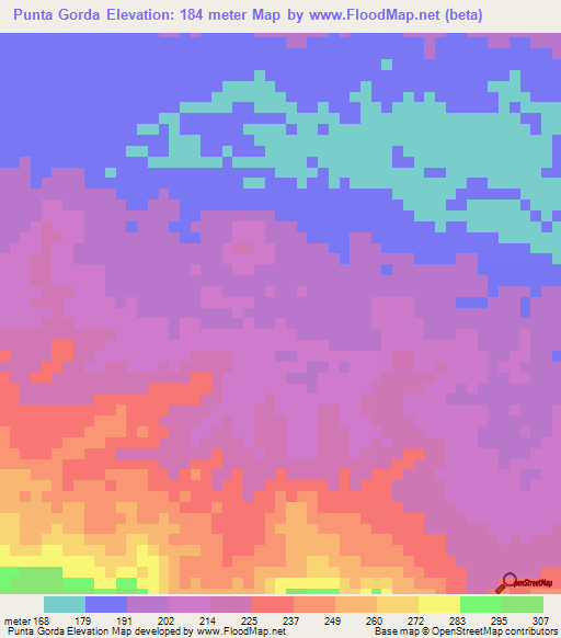Punta Gorda,Venezuela Elevation Map