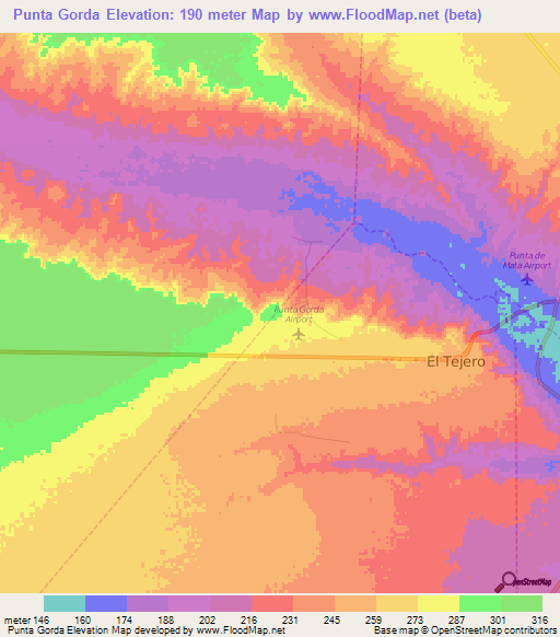 Punta Gorda,Venezuela Elevation Map