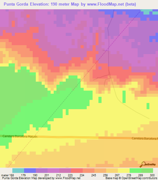 Punta Gorda,Venezuela Elevation Map