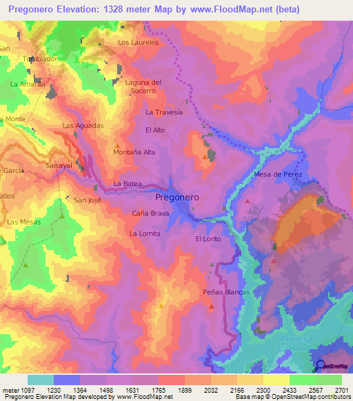 Pregonero,Venezuela Elevation Map