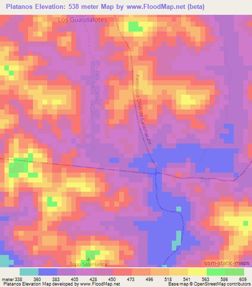 Platanos,Venezuela Elevation Map