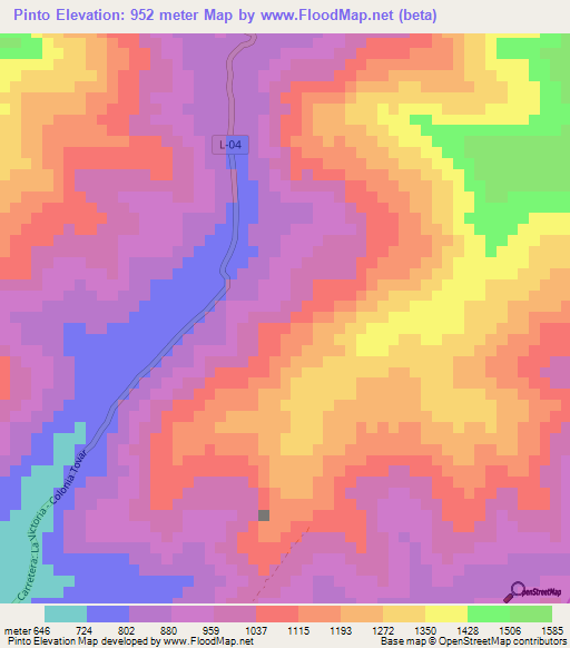 Pinto,Venezuela Elevation Map