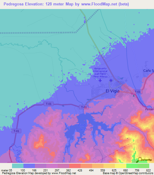 Pedregosa,Venezuela Elevation Map