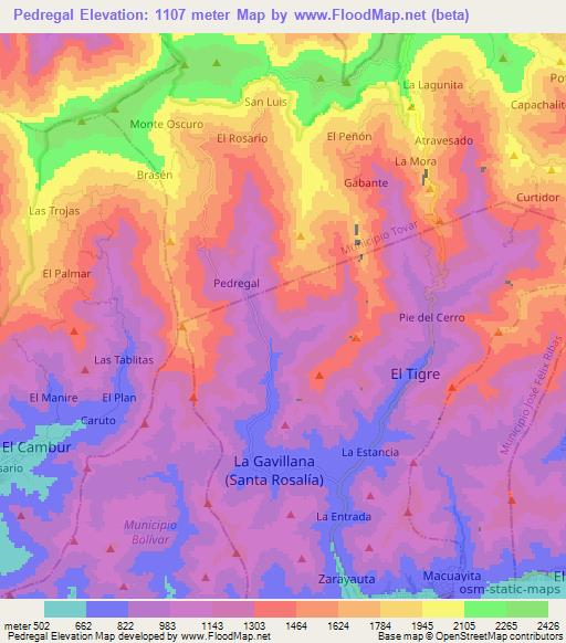 Pedregal,Venezuela Elevation Map