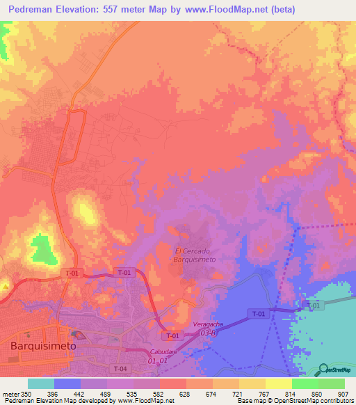 Pedreman,Venezuela Elevation Map