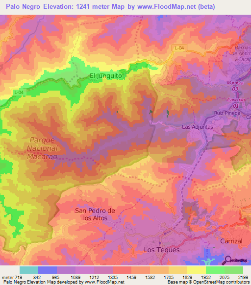 Palo Negro,Venezuela Elevation Map
