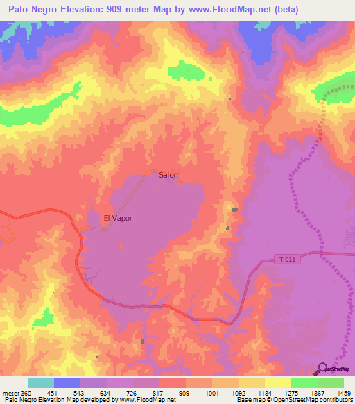 Palo Negro,Venezuela Elevation Map