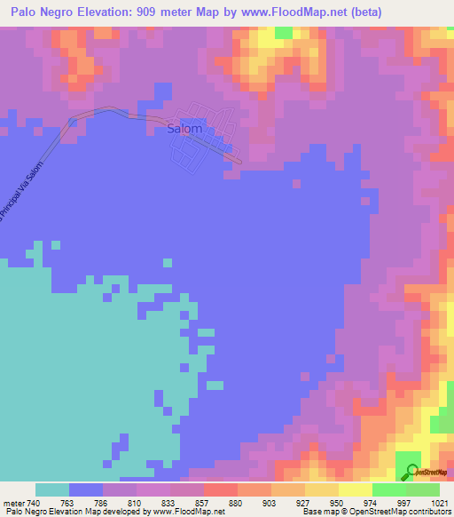 Palo Negro,Venezuela Elevation Map