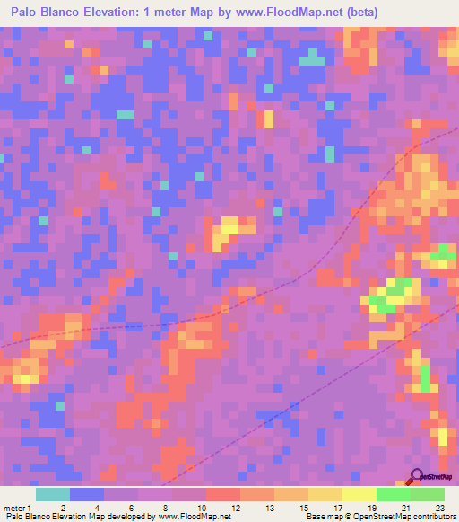 Palo Blanco,Venezuela Elevation Map