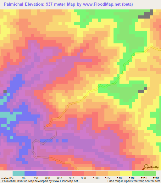 Palmichal,Venezuela Elevation Map