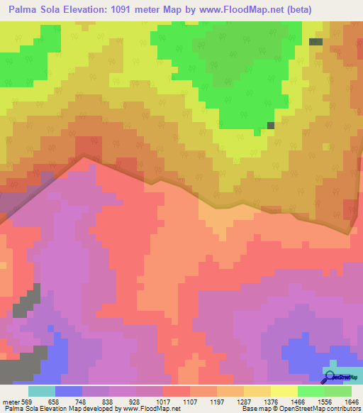Palma Sola,Venezuela Elevation Map