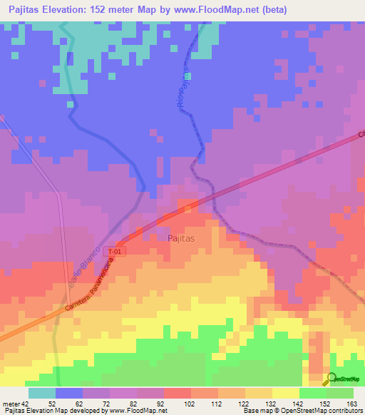 Pajitas,Venezuela Elevation Map