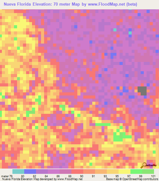 Nueva Florida,Venezuela Elevation Map