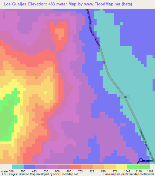 Los Gualjes,Venezuela Elevation Map