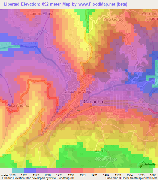 Libertad,Venezuela Elevation Map