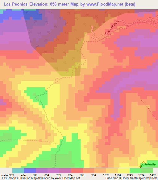 Las Peonias,Venezuela Elevation Map