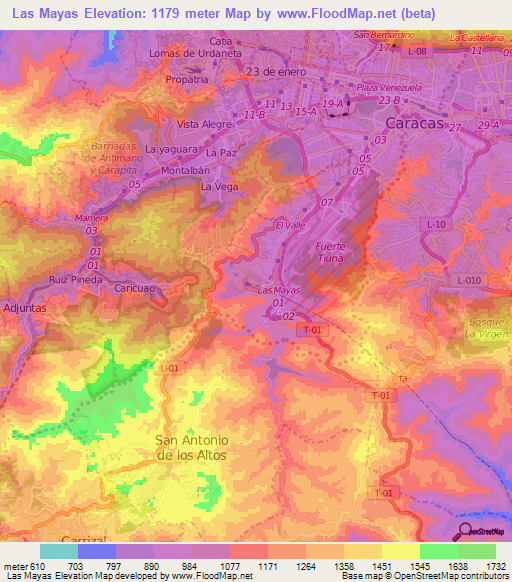 Las Mayas,Venezuela Elevation Map