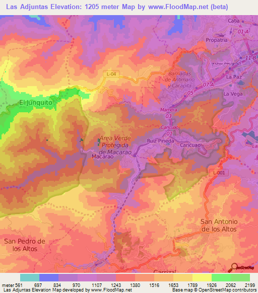Las Adjuntas,Venezuela Elevation Map