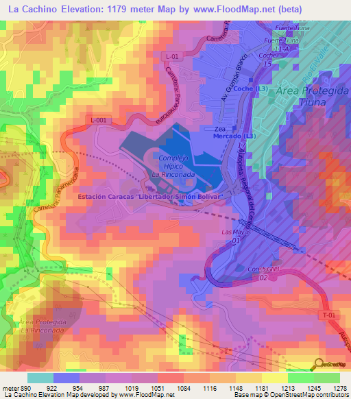 La Cachino,Venezuela Elevation Map