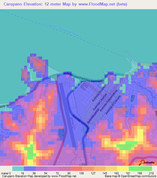 Carupano,Venezuela Elevation Map