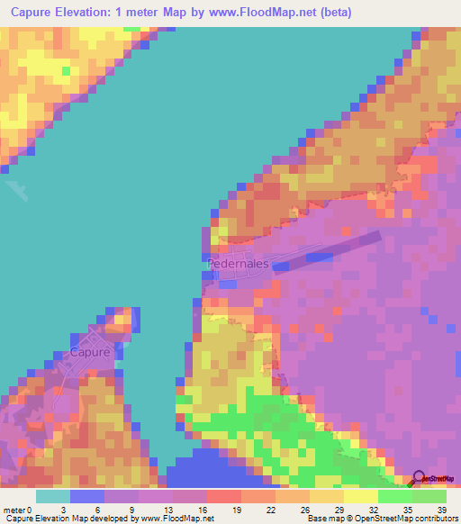 Capure,Venezuela Elevation Map