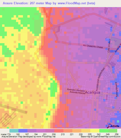 Araure,Venezuela Elevation Map