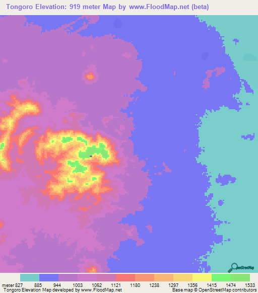 Tongoro,Sudan Elevation Map