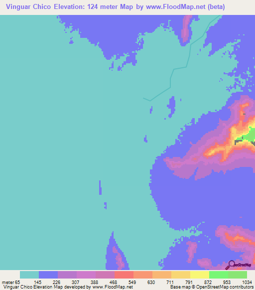 Vinguar Chico,Peru Elevation Map