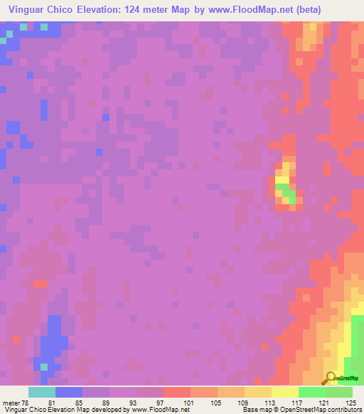 Vinguar Chico,Peru Elevation Map