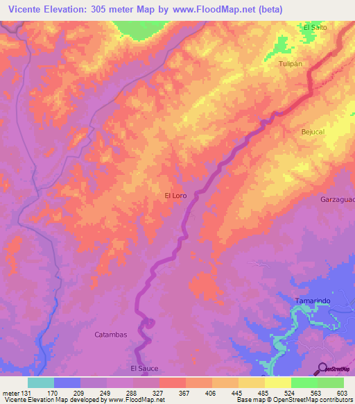 Vicente,Peru Elevation Map
