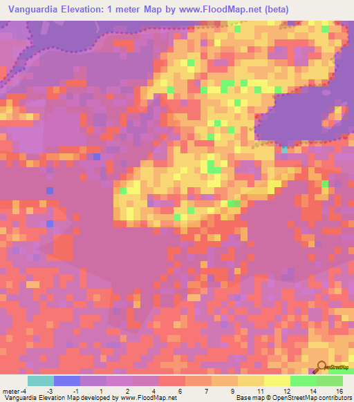 Vanguardia,Peru Elevation Map