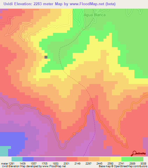 Uvidi,Peru Elevation Map