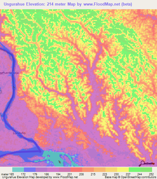 Ungurahue,Peru Elevation Map