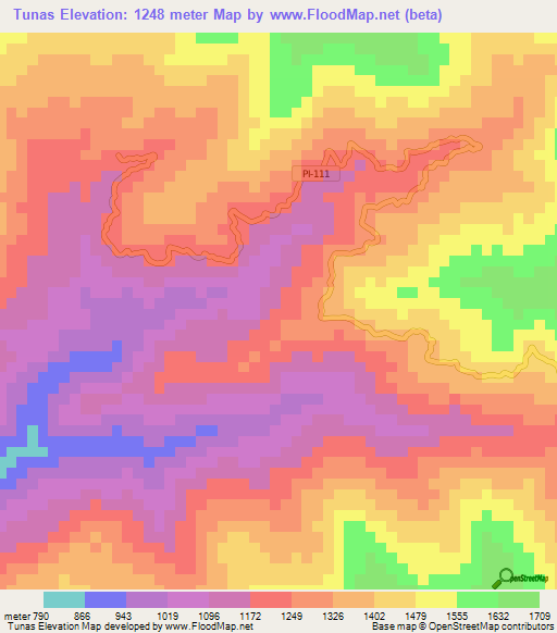 Tunas,Peru Elevation Map