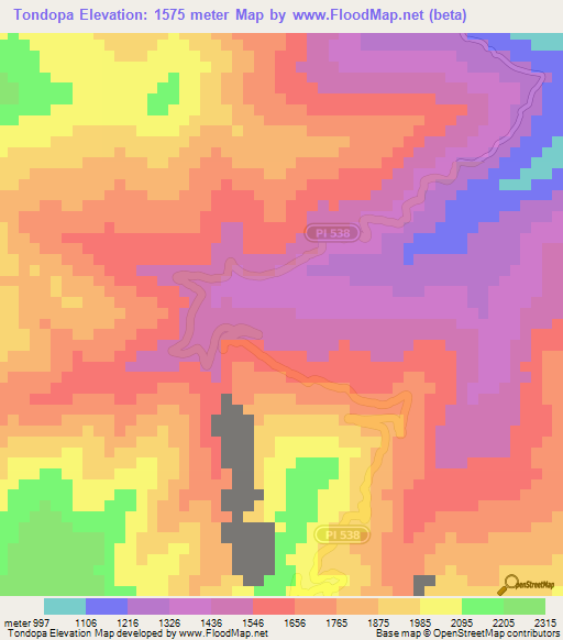 Tondopa,Peru Elevation Map
