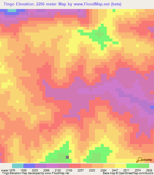 Tingo,Peru Elevation Map