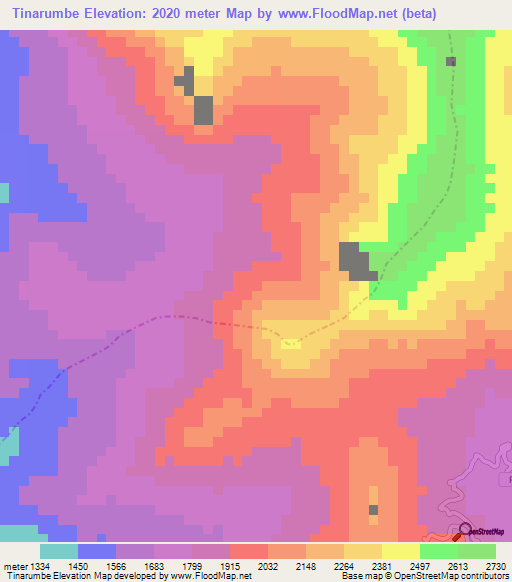 Tinarumbe,Peru Elevation Map