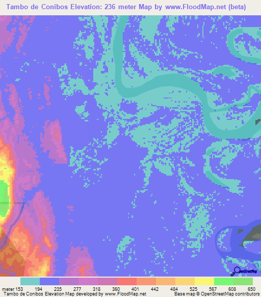 Tambo de Conibos,Peru Elevation Map