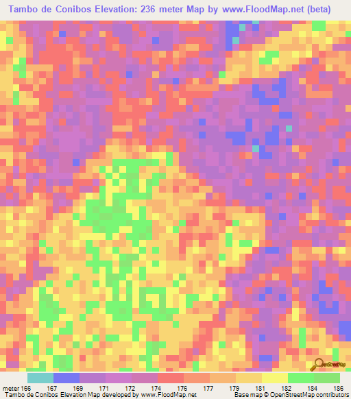 Tambo de Conibos,Peru Elevation Map