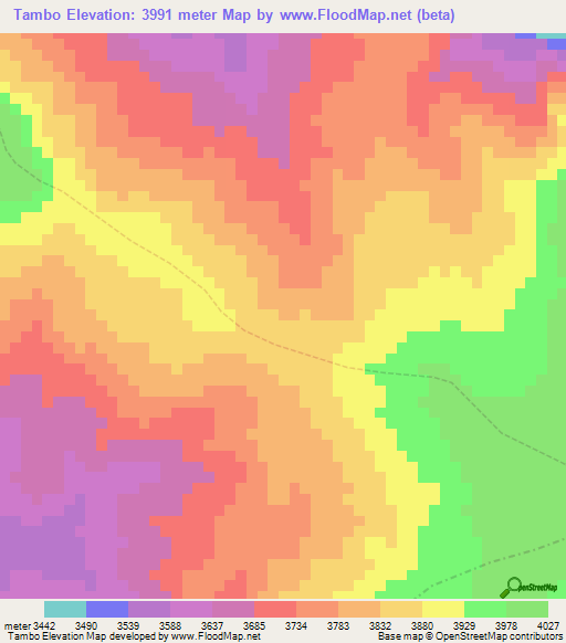 Tambo,Peru Elevation Map