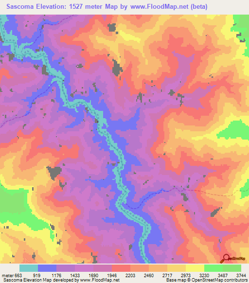 Sascoma,Peru Elevation Map