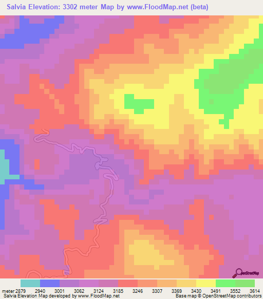 Salvia,Peru Elevation Map