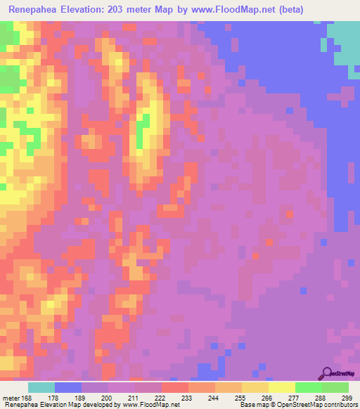 Renepahea,Peru Elevation Map
