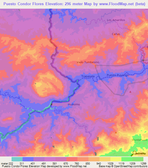 Puesto Condor Flores,Peru Elevation Map