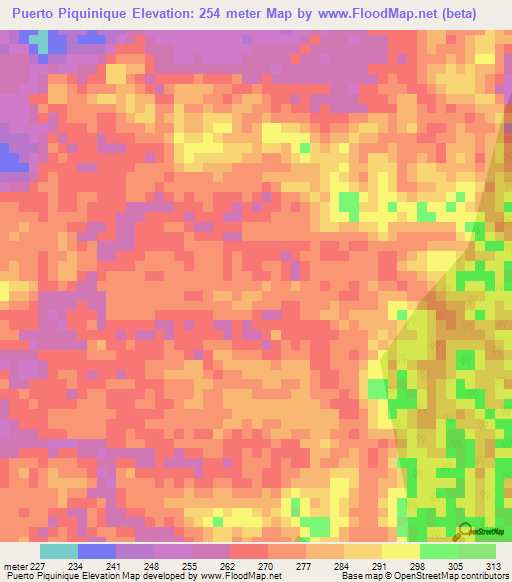 Puerto Piquinique,Peru Elevation Map